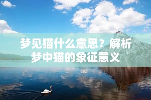 梦见猫什么意思？解析梦中猫的象征意义