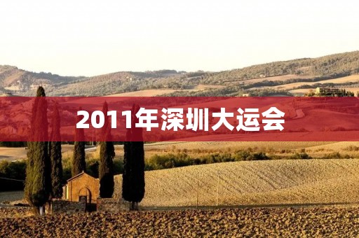 2011年深圳大运会：中国大学生体育的盛会