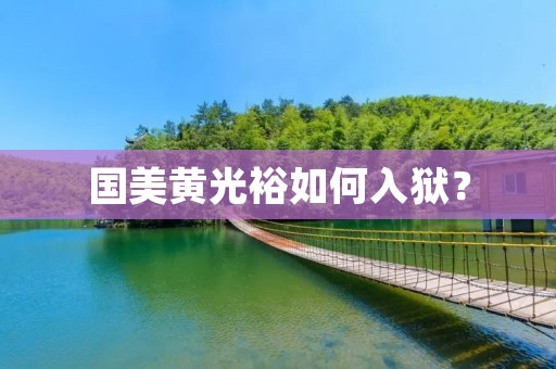 国美黄光裕如何入狱？