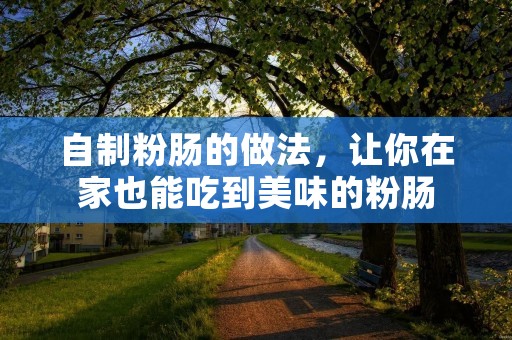 自制粉肠的做法，让你在家也能吃到美味的粉肠