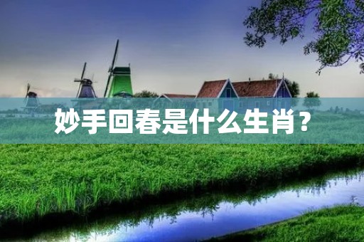 妙手回春是什么生肖?