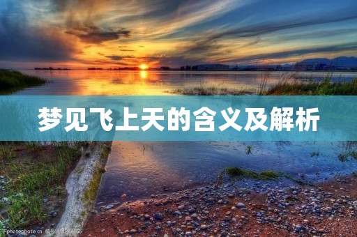 梦见飞上天的含义及解析