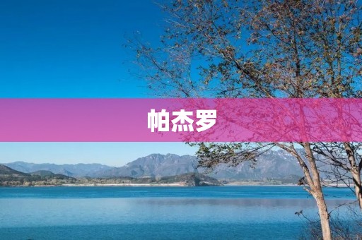 帕杰罗：传奇越野车的故事