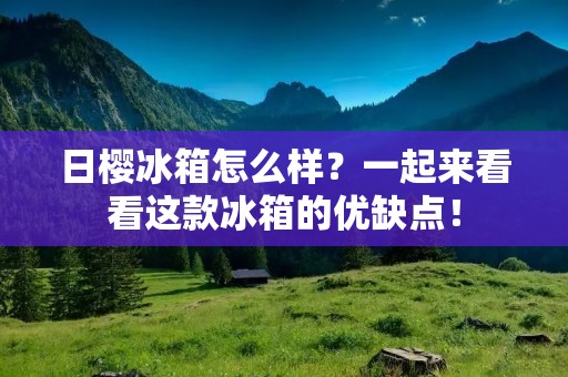 日樱冰箱怎么样？一起来看看这款冰箱的优缺点！