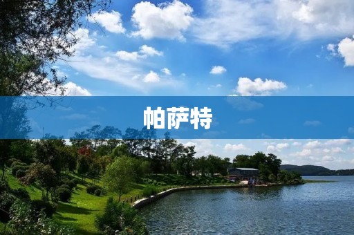 帕萨特:大众家族的中坚力量 帕萨特:大众家族的中坚力量