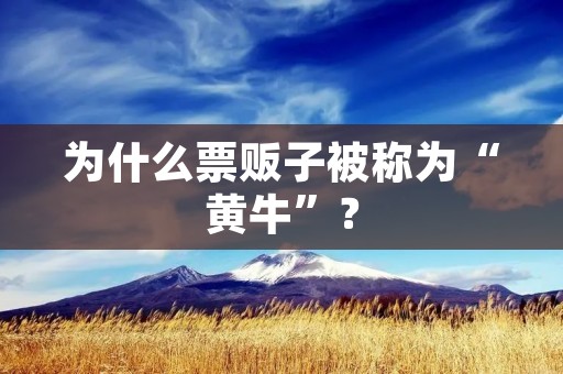 为什么票贩子被称为“黄牛”？