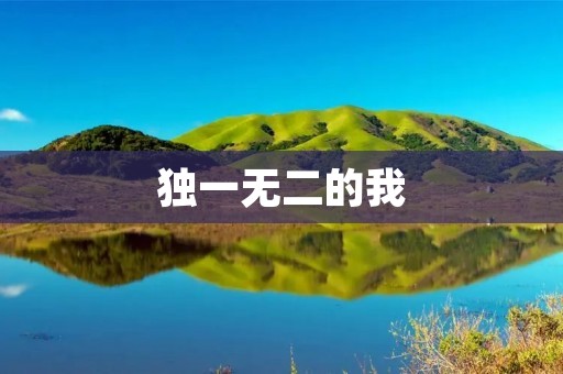 独一无二的我