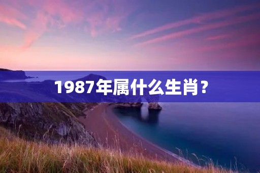 1987年属什么生肖?