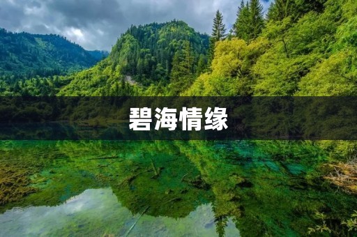 碧海情缘:航海探险的浪漫之旅 碧海情缘:航海探险的浪漫之旅