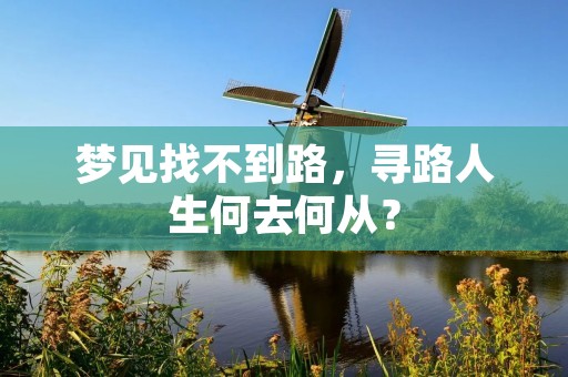 梦见找不到路,寻路人生何去何从?
