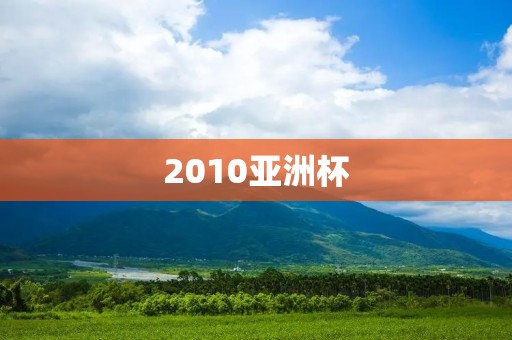 2010亚洲杯：中国队留下的遗憾