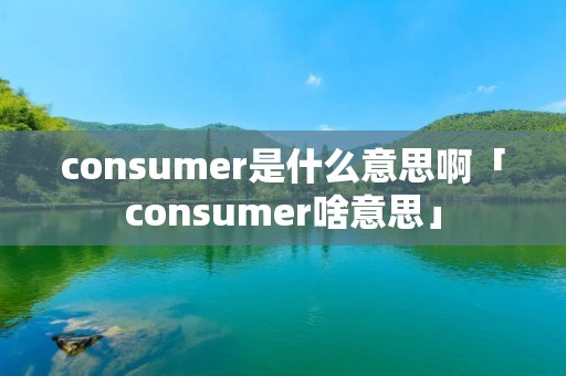 consumer是什么意思啊「consumer啥意思」 consumer是什么意思啊「consumer啥意思」