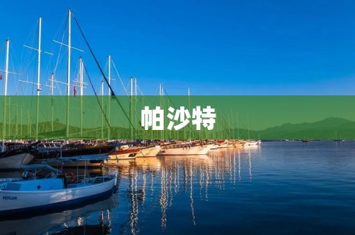帕沙特：一个神秘的国度