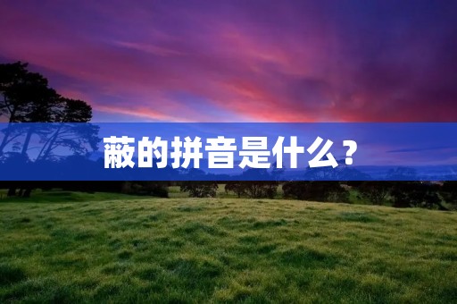 蔽的拼音是什么？