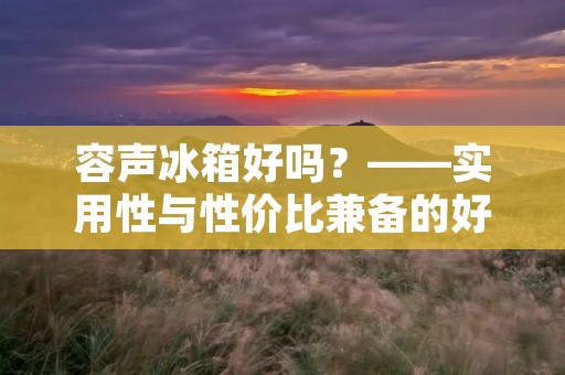 容声冰箱好吗?——实用性与性价比兼备的好选择