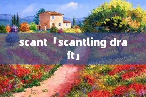 scant「scantling draft」 scant「scantling draft」