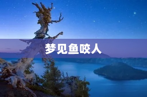 梦见鱼咬人:预示着什么?