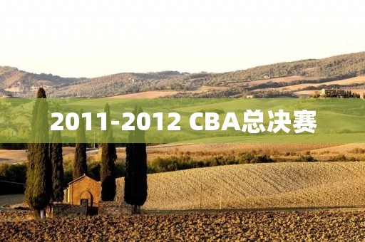 2011-2012 CBA总决赛：广东宏远夺冠