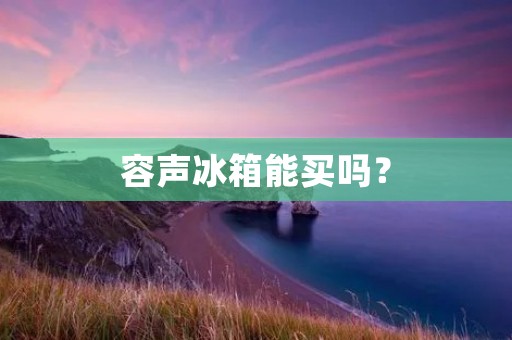 容声冰箱能买吗？