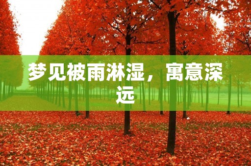 梦见被雨淋湿,寓意深远