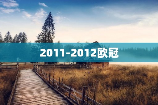 2011-2012欧冠:切尔西历史性夺冠 2011-2012欧冠:切尔西历史性夺冠
