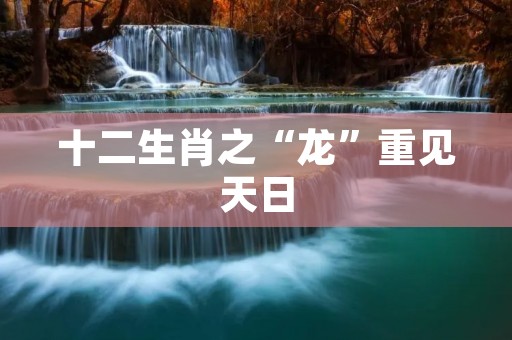 十二生肖之“龙”重见天日