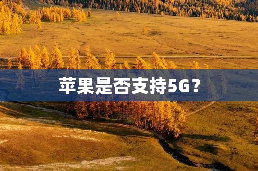 苹果是否支持5G？