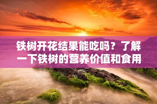 铁树开花结果能吃吗？了解一下铁树的营养价值和食用方法