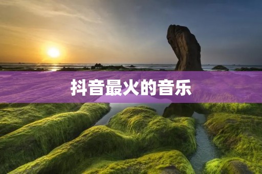 抖音最火的音乐：2019年度热门歌曲排行榜