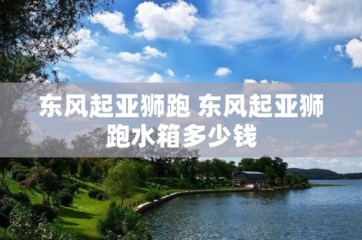 东风起亚狮跑 东风起亚狮跑水箱多少钱
