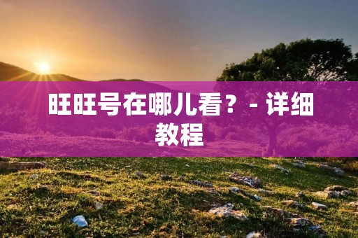 旺旺号在哪儿看?- 详细教程 旺旺号在哪儿看?- 详细教程