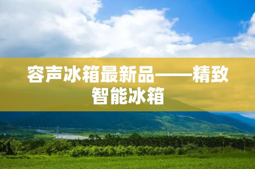 容声冰箱最新品——精致智能冰箱 容声冰箱最新品——精致智能冰箱