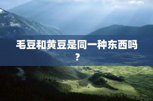 毛豆和黄豆是同一种东西吗？