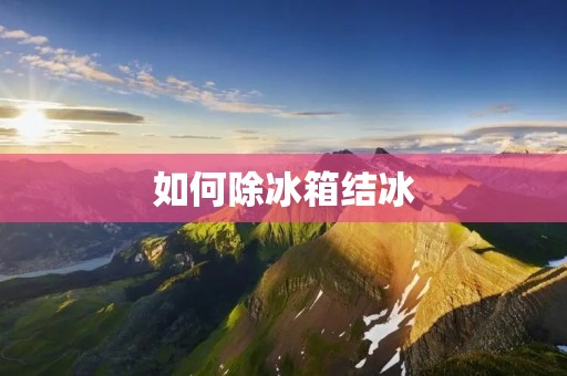 如何除冰箱结冰：实用方法大揭秘