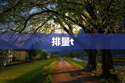 排量t：如何选择最适合自己的车型？