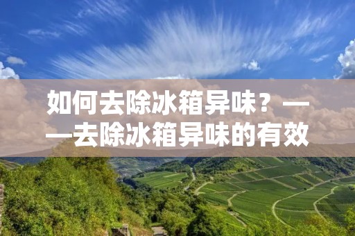 如何去除冰箱异味?——去除冰箱异味的有效方法 如何去除冰箱异味?——去除冰箱异味的有效方法