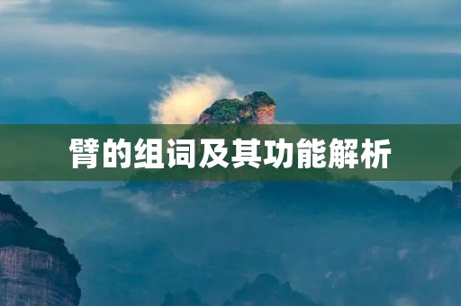臂的组词及其功能解析 臂的组词及其功能解析