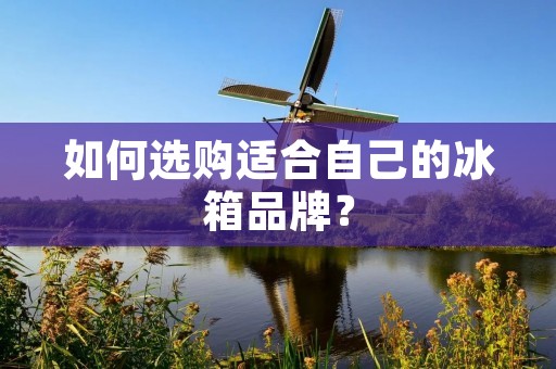 如何选购适合自己的冰箱品牌?