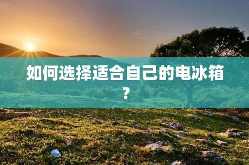 如何选择适合自己的电冰箱?