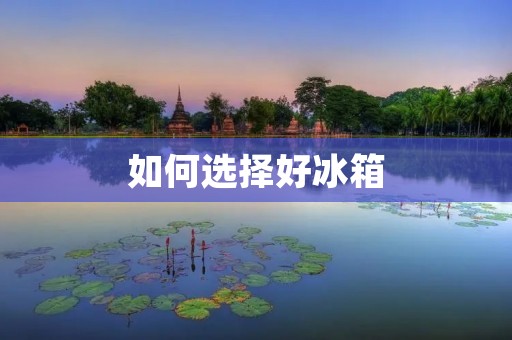 如何选择好冰箱
