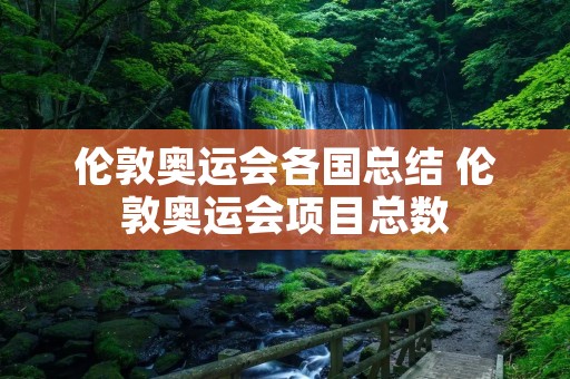 伦敦奥运会各国总结 伦敦奥运会项目总数