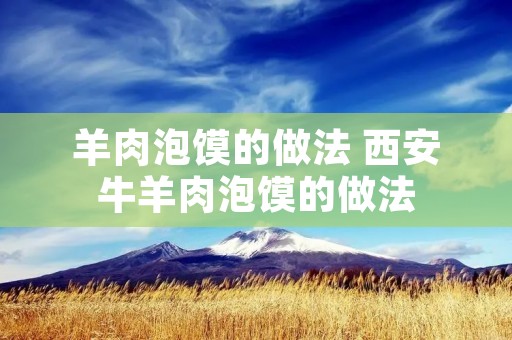 羊肉泡馍的做法 西安牛羊肉泡馍的做法