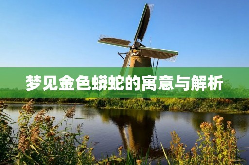 梦见金色蟒蛇的寓意与解析
