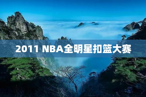 2011 NBA全明星扣篮大赛:韦德夺冠 2011 NBA全明星扣篮大赛:韦德夺冠
