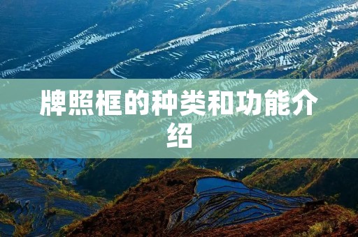 牌照框的种类和功能介绍