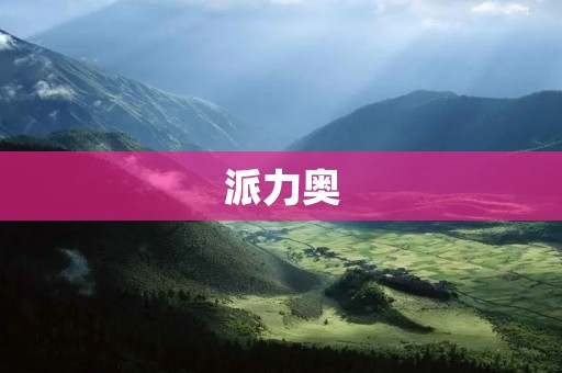 派力奥：打造智慧城市的领军企业