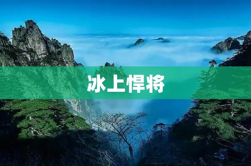 冰上悍将:一群热血男儿的不屈之魂 冰上悍将:一群热血男儿的不屈之魂