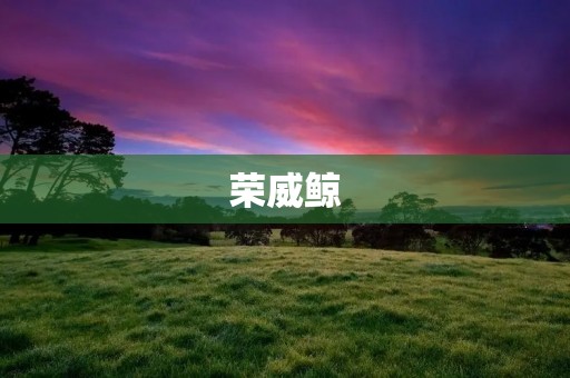 荣威鲸:领先智能化的豪华SUV 荣威鲸:领先智能化的豪华SUV