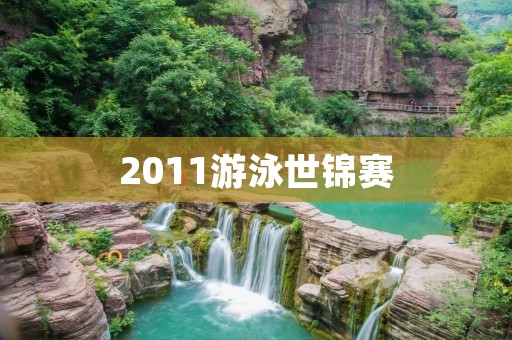 2011游泳世锦赛：中国游泳队的辉煌时刻