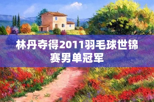 林丹夺得2011羽毛球世锦赛男单冠军